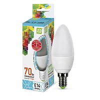 Лампа светодиодная ASD Standart С37 Свеча E14 220В 7,5Вт 675Лм 4000К 37х104мм картинка 